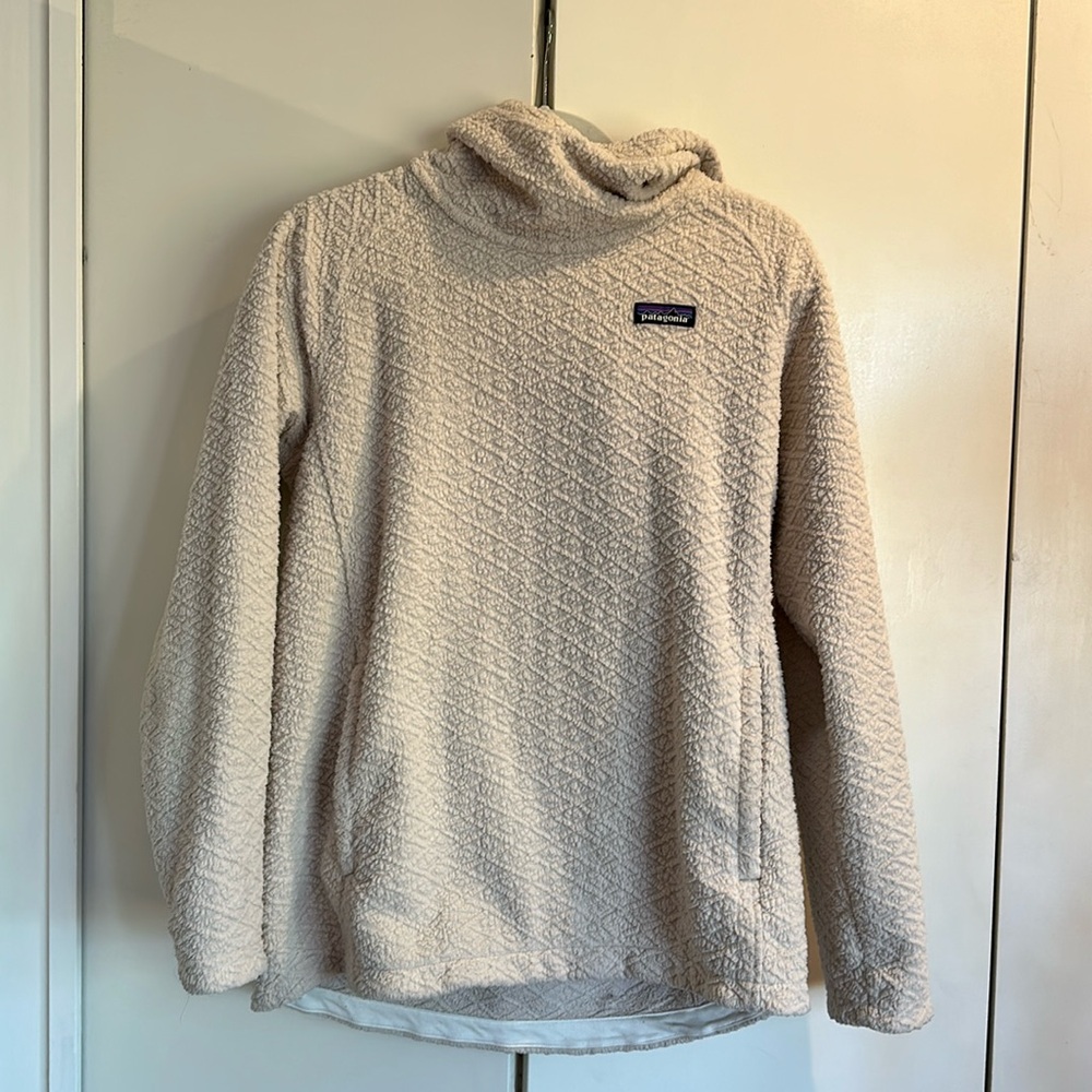 Patagonia hooded pullover
